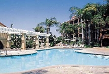 Park Holiday Inn Pool